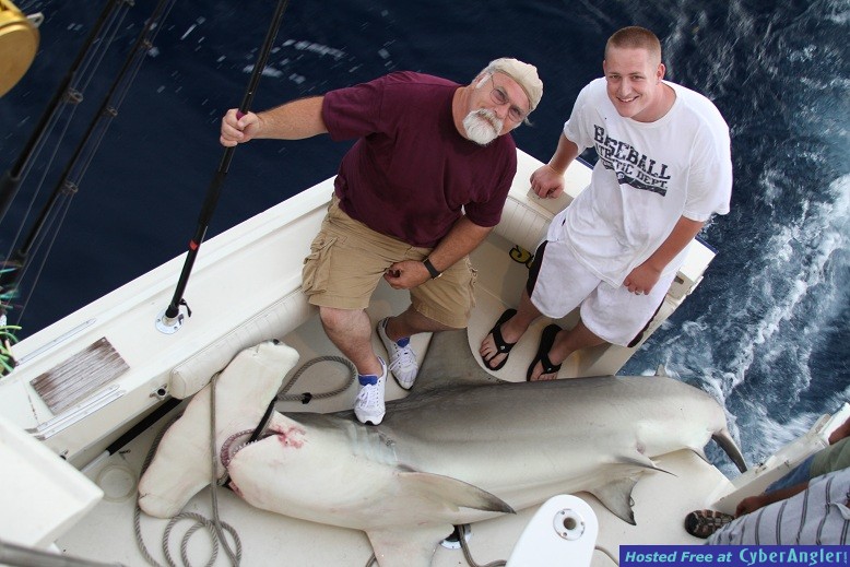 Click to Enlarge Photo