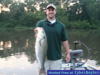 Smith Lake Striped Bass