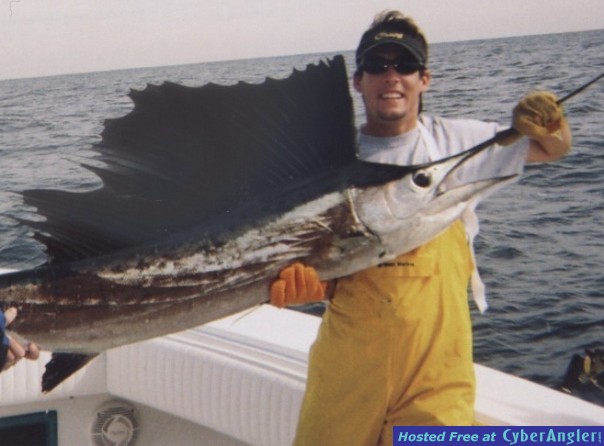 Miami Sailfish