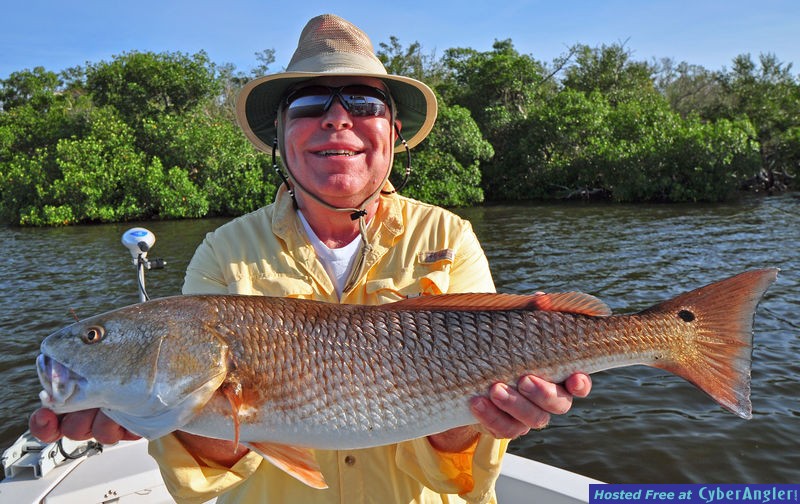 Florida redfish