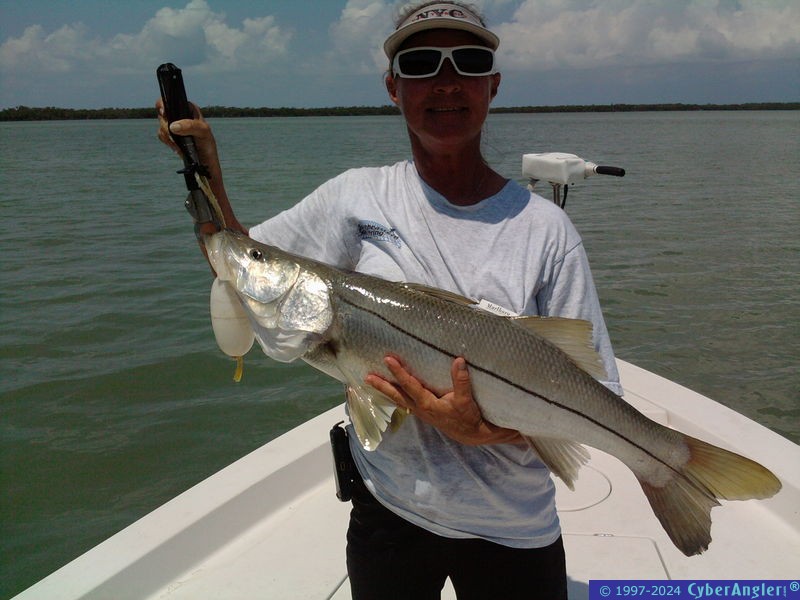 15lbs