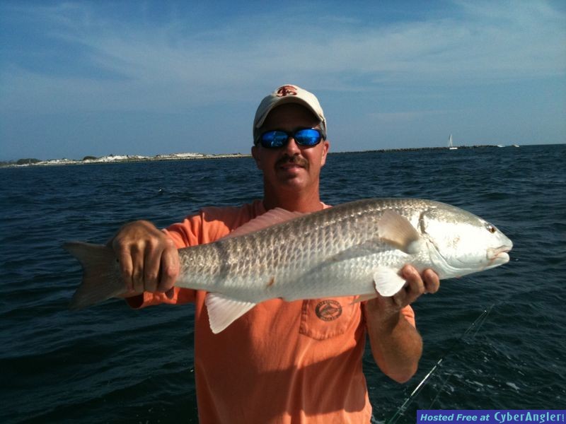 trout_559