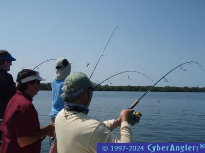 Click to Enlarge Photo