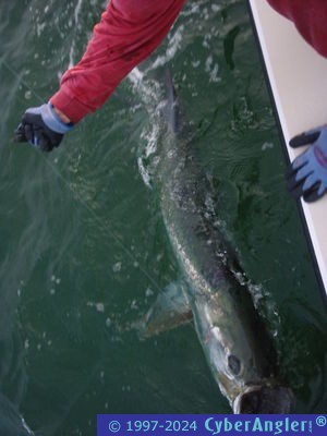 Click to Enlarge Photo