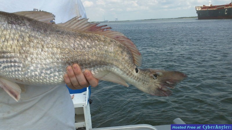 www.captdaves.com