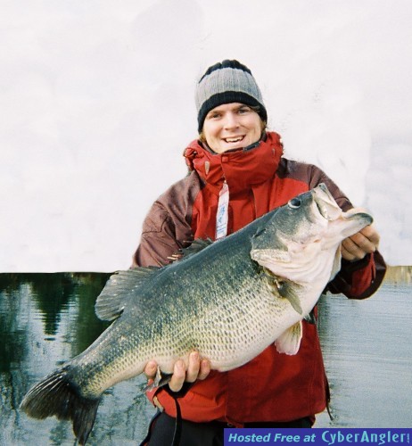 Delaware Tackle Swimbait Bass