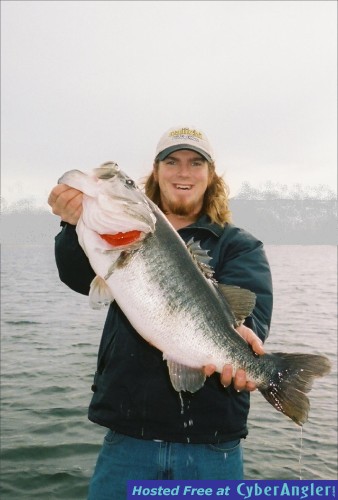 Matt of Delaware Tackle Swimbaits
