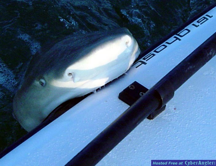 We need a bigger boat!