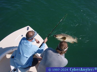 Click to Enlarge Photo