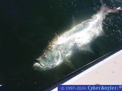 Click to Enlarge Photo