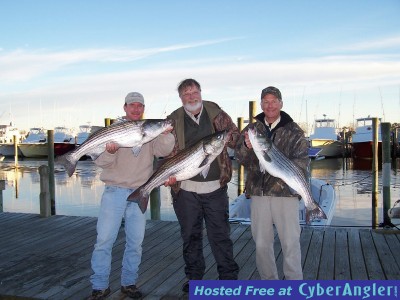 Outer Banks Stripers