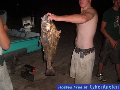 Big black drum caught in St.Andrews Bay Fla.