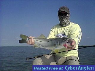 ROBs_snook