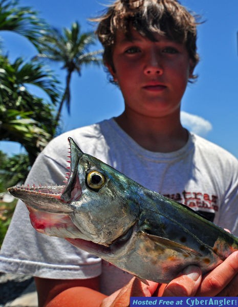 Click to Enlarge Photo