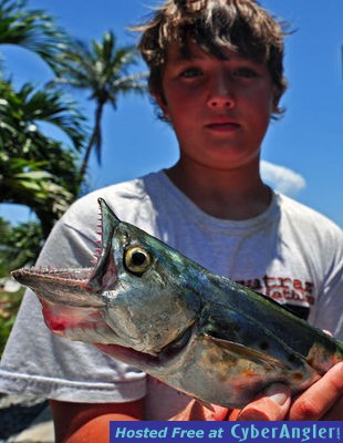 Spanish Mackerel