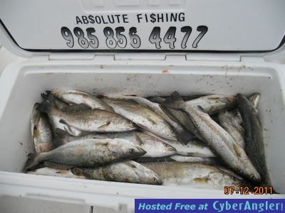 Click to Enlarge Photo