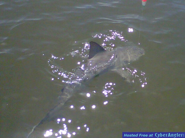 IMG-20110713-00141