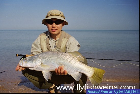 Barramundi agian