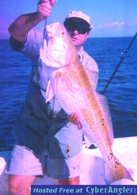 Redfish