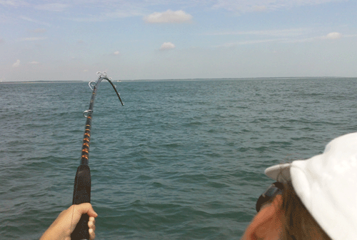 www.captdaves.com