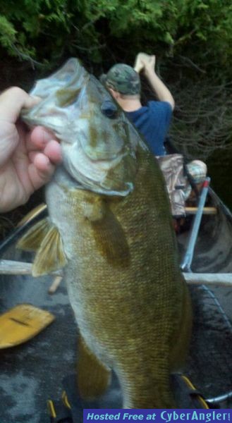 Bass!