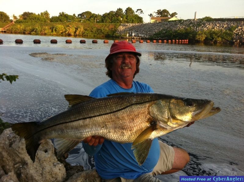 35 Lb. Snook - Stuart C-24 Spillway