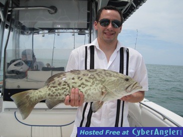 26-inch gag grouper