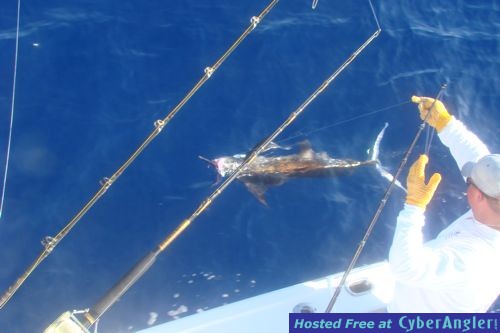 Click to Enlarge Photo