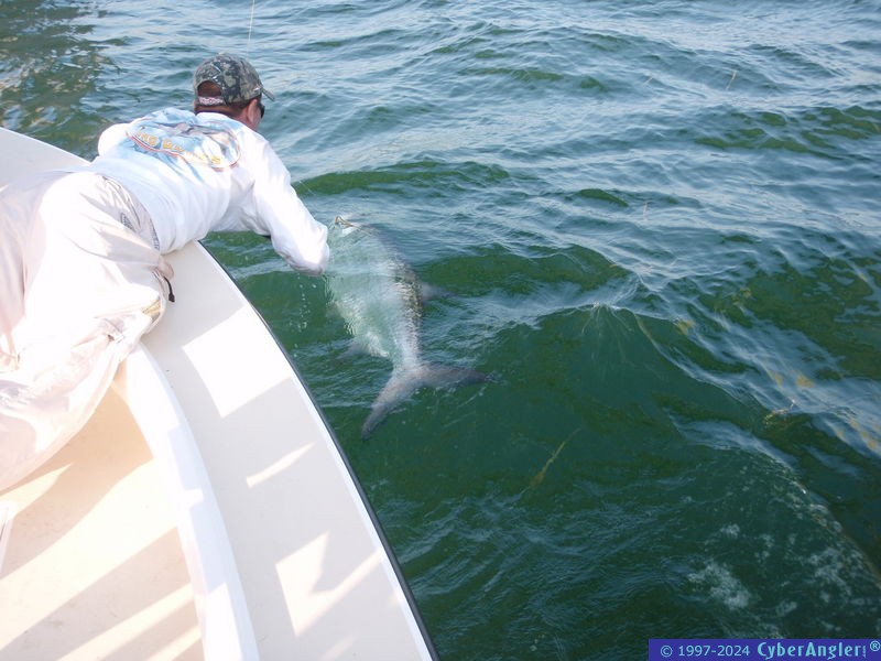 tj_fishing_119