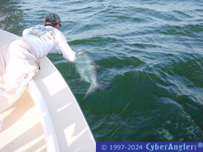 Click to Enlarge Photo