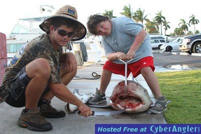 Click to Enlarge Photo