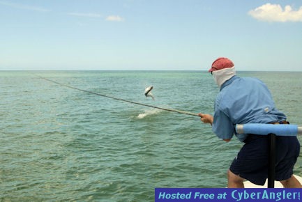 Kirk Grassett's Sarasota fly tarpon jump