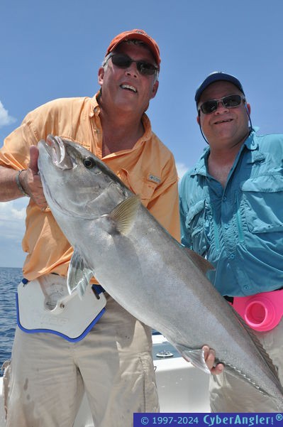 DayMaker Amberjack