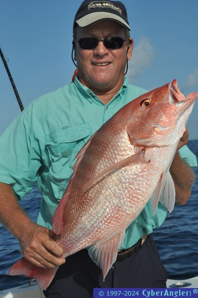 Big extinct Snapper on the DayMaker