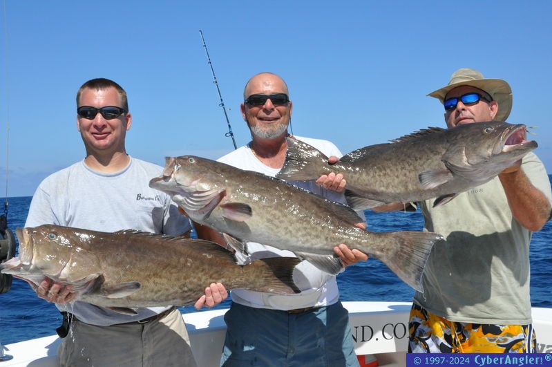 Catch limits on the DayMaker