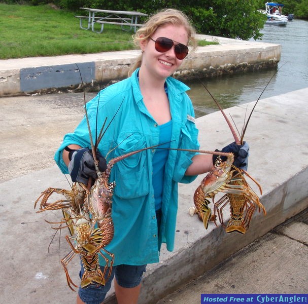 Click to Enlarge Photo