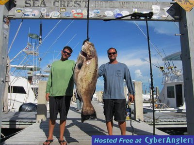 Click to Enlarge Photo