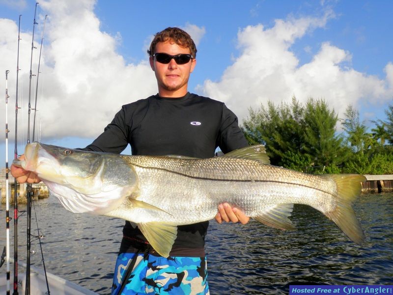Monster Snook