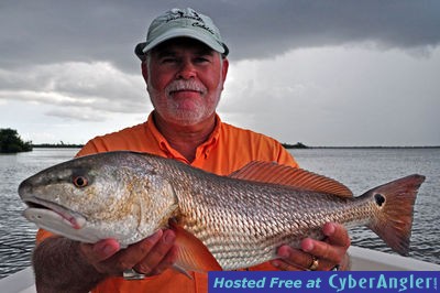 Matlacha Redfish