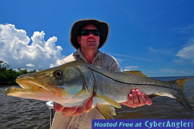 Charlotte Harbor Snook