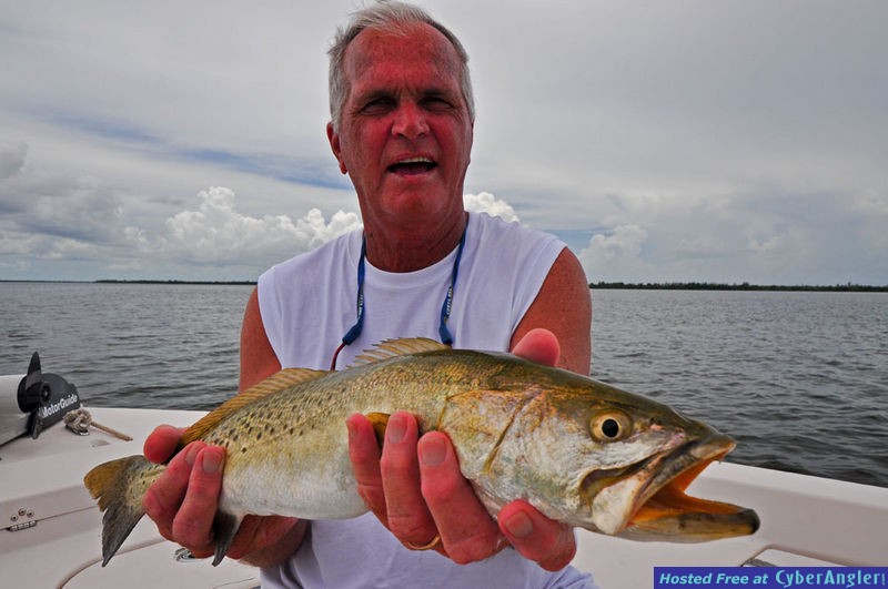Pine Island Trout