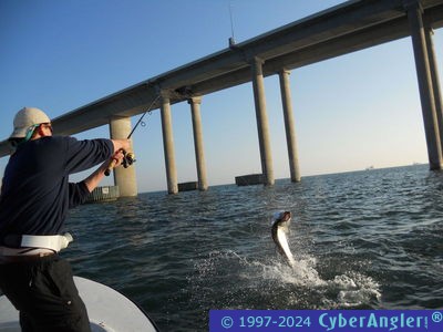 Click to Enlarge Photo