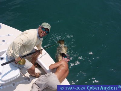 Click to Enlarge Photo