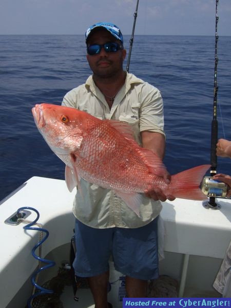 Dry Tortugas 2011