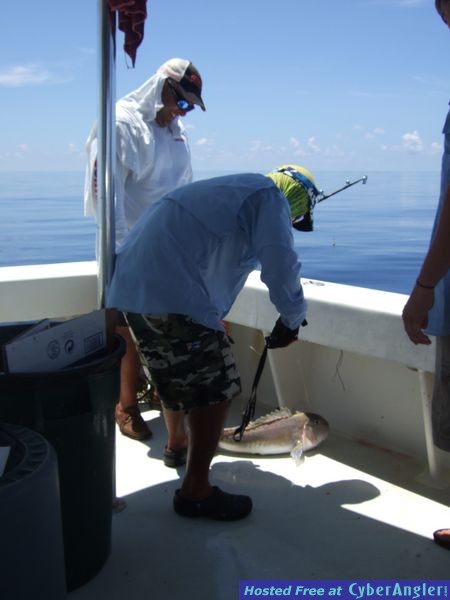 Dry Tortugas 2011