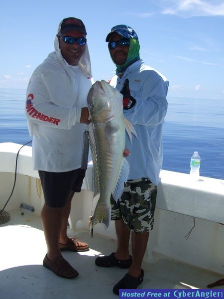 Dry Tortugas 2011
