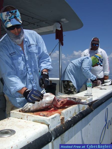 Dry Tortugas 2011
