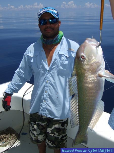 Dry Tortugas 2011