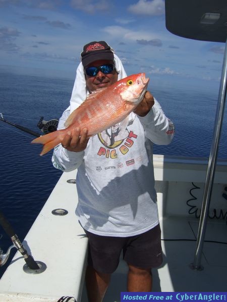 Dry Tortugas 2011
