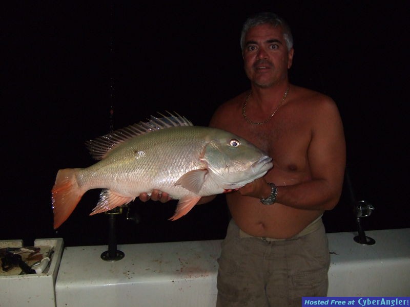 Dry Tortugas 2011